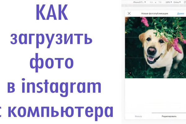 Адрес кракен в тор