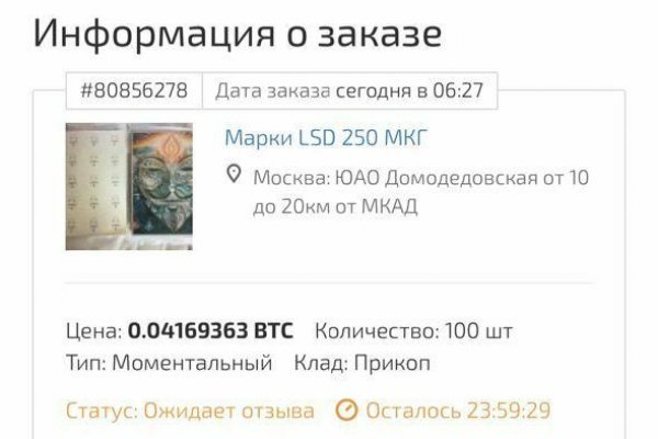 Kraken найдется все