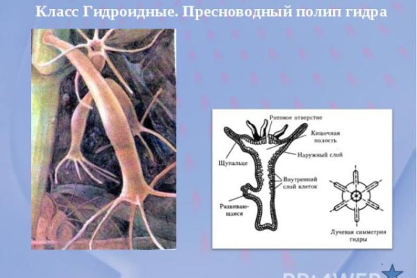 Наркотики заказать